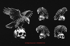 10 Bundle Dark Art Hawk Skull Bird Eagle Wings Predator Product Image 3