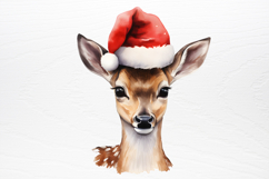 Pink Christmas Collection Sublimation PNG Product Image 2