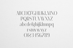 Future Flow Elegant Serif Typeface Product Image 2