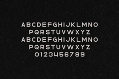 Rhino Bold Modern Display Sans Serif Font Product Image 2