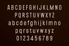 Ecliso Dots Edition Modern Textured Sans Serif Font Product Image 2