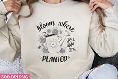 Bloom Where You Are Planted PNG, Hello Spring Sublimation PN Product Image 2