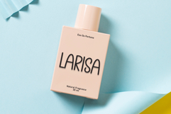 This Christmas Product Image 2