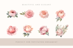 40 Watercolor Rose Peony Clipart PNG, Rose Flower Clipart Product Image 2
