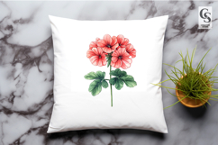 Watercolor Geranium Flower Clipart Sublimation PNG Product Image 3