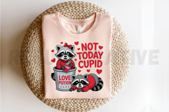 Not Today Cupid, Funny Raccoon Valentines Sublimation PNG Product Image 2