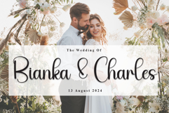 Soulmate Product Image 2