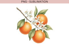Summer png design for T-shirts Product Image 2