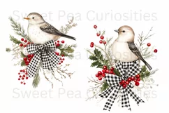 Christmas, Birds, Ephemera, PNG, watercolor, Clipart Product Image 2