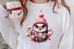 Christmas Owl Clipart, Christmas Owl Clipart, Christmas Owl Product Image 2