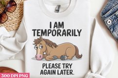 I Am Temporarily PNG, Funny Sarcastic Sublimation Product Image 3