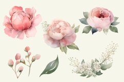 Watercolor Pink Peony Clipart PNG, Peony Flower Decoration Product Image 2