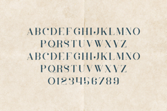 Inara Organic Textured Serif Font Product Image 2