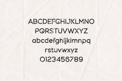 Dense Rough Edition Distressed Vintage Product Image 2