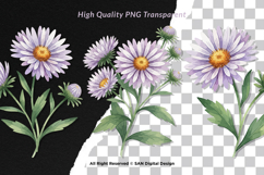 15 Bundle Watercolor Aster Flower Blossom Floral Bouquet Product Image 2