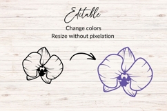 Orchid Flower SVG Product Image 2