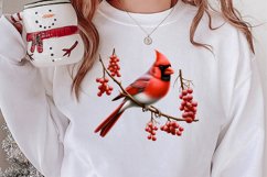 Christmas Cardinal Watercolor Clipart, Christmas Cardinal Product Image 2