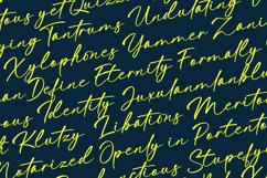 Bongstand Elegant Handwritten Font Product Image 2