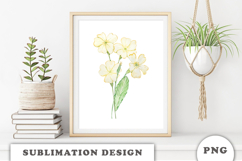 Watercolor Primrose Flowers Bouquet png Product Image 2