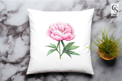 Pink Peony Flower Clipart Sublimation PNG Product Image 2