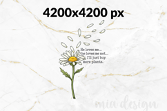 Funny Plant Lover PNG, He Loves Me Not Daisy Sublimation Product Image 2