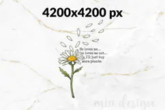 Daisy PNG, He Loves Me Not Plant Sublimation Product Image 2
