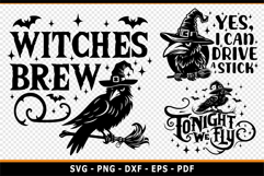 Funny Halloween SVG, Raven SVG, Witch T shirt designs PNG Product Image 2