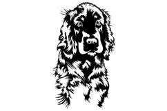 Cocker Spaniel/Dog Svg/Png/Jpg/Ai/Vector purebred breed/Pet Product Image 9