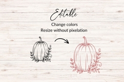 Hand Drawn Pumpkin SVG With Leaf Twigs Product Image 2