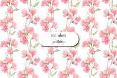 Sweet Pea Floral - Seamless Pattern Pea Flowers Product Image 1