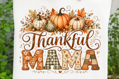 Thankful Mama Pumpkin Autumn Floral Thanksgiving SVG Product Image 1