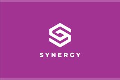 Synergy Letter S logo design vector template Product Image 2