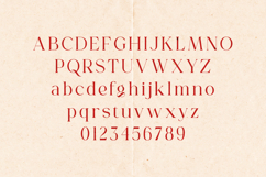 Gorga Vintage Serif Font Product Image 2