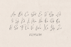 Madeira Elegant Signature Script Font Product Image 2