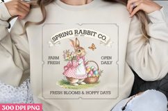 Vintage Easter Rabbit Bunny Bundle PNG Product Image 4