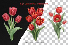 15 Bundle Watercolor Tulips Flower Botanical Painting Spring Product Image 2