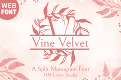 Vine Velvet Split Monogram - Botanical Split Serif Font Product Image 1