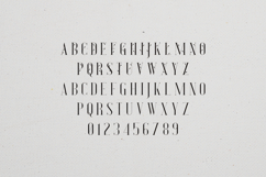 Desire Elegant Botanical Serif Font Product Image 2