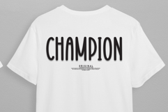 Winter Rustic Product Image 2