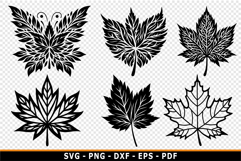 Maple Leaf SVG, Autumn SVG, Fall Leaf SVG, Thanksgiving SVG Product Image 2
