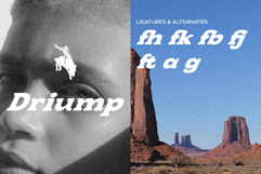 Berskal Serif Display Font Product Image 2