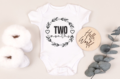 Baby Month Round SVG Bundle Product Image 3