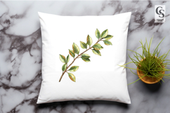 Watercolor Botanical Branch Clipart PNG Product Image 2