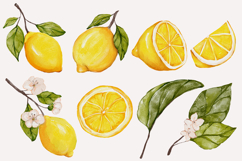 Watercolor lemon clipart png hand drawn Product Image 2