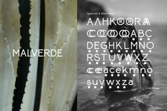 Paterna Serif Font Product Image 2