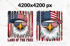 Land of the Free PNG, Patriotic Eagle USA Flag Sublimation Product Image 2
