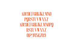 Perfectly Splendid Elegant Serif Font Product Image 2