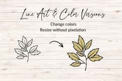 Hand Drawn Autumn Leaf Branch SVG Product Image 2