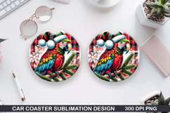 Tropical Bird Car Coaster Sublimation| Christmas Coaster PNG Product Image 1