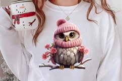 Christmas Owl Clipart, Christmas Owl Clipart, Christmas Owl Product Image 2